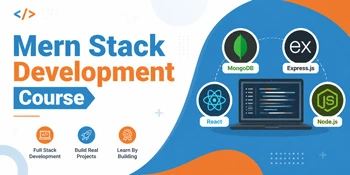 mern stack dev